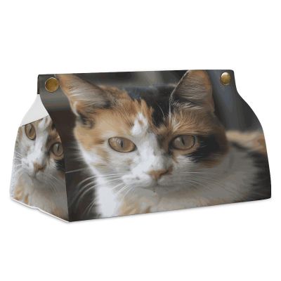 A Cat Large Tissue Box Cover Rectangular Plus Size Tissue Box Holder with Bottom Decorative Tissue Box for Vanity Toilet Tank Dresser Night Stand Table Countertop Office Car