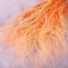 500pcs Dried Flowers,11.8 Inches Feather Flowers,Real Feather Grass Bouquet Suitable for Wedding,Home Party Decoration DIY Flower Arrangement (Orange) view 2