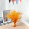 500pcs Dried Flowers,11.8 Inches Feather Flowers,Real Feather Grass Bouquet Suitable for Wedding,Home Party Decoration DIY Flower Arrangement (Orange) view 3