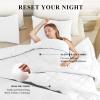 120x98 Oversized King Comforter,Super King Size Comforter Oversized, All Season Soft Lightweight Quilt Down Alternative Duvet Insert with 8 Corner Tabs(120x98, White) view 2