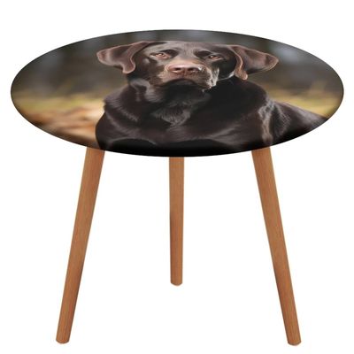 HJKBCV Labrador Retriever Round Tablecloth Elastic Edge Design Table Cover Reversible Waterproof Stain Resistant Table Cover Summer Fall Outdoor Circle Cover for Dining Kitchen Picnic Camping