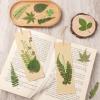 40Pcs Real Pressed Dried Leaves for Resin, Natural Dry Leaf for DIY Crafts, Green Dried Leaves for Epoxy Molds Jewelry, Candle, Bookmarks,Soap Making, Card Scrapbook view 4