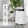 10,000 BTU Small Air Conditioner, 3-In-1 Portable Air Conditioners with Dehumidifier, Fan, Cooling Modes, Cools Up to 450 Sq. Ft AC Unit, Remote Control, Window Kit, 24-Hour Timer, Easy Mobility view 3