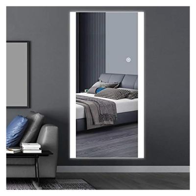 20x40 Inch Full Body Wall Mounted LED Mirror Stepless Dimmable Light Up Touch Control,Mirrors