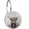 12 Pcs Highland Cow Shower Curtain Hooks, Decorative Shower Curtain Rings for Bathroom, Stainless Steel Rustproof Curtain Rings Hangers for Shower Curtain Rod view 1