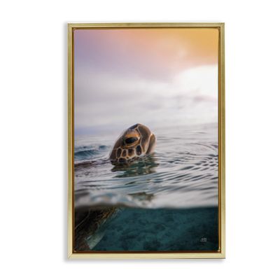 Stupell Industries Turtle Swim at Sunrise Gold Floater Framed Canvas Wall Art Design by Max Blakesberg Studios, 21 x 31