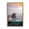 Stupell Industries Turtle Swim at Sunrise Gold Floater Framed Canvas Wall Art Design by Max Blakesberg Studios, 21 x 31 view 1