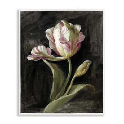 Stupell Industries Tulip on Black White Framed Giclee Wall Art Design by Danhui Nai, 24 x 30