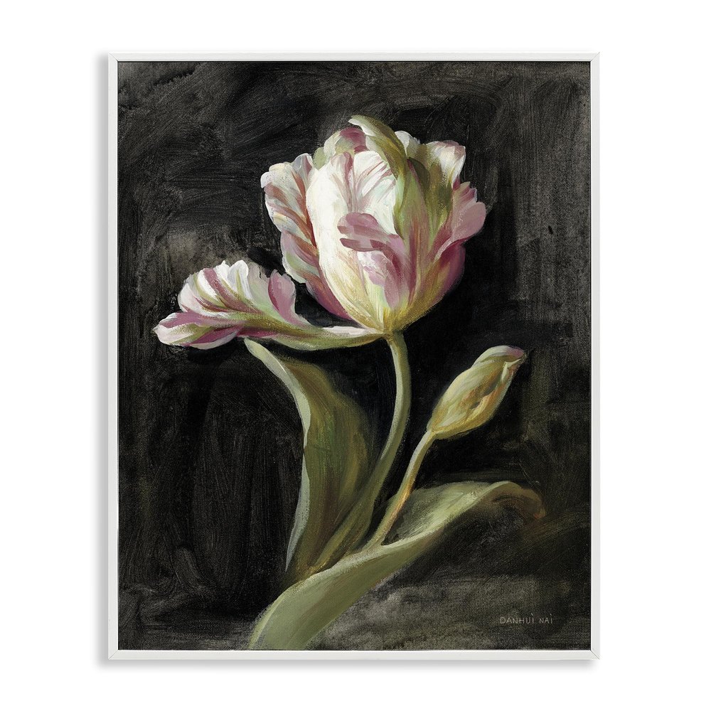 Stupell Industries Tulip on Black White Framed Giclee Wall Art Design by Danhui Nai, 24 x 30