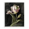 Stupell Industries Tulip on Black White Framed Giclee Wall Art Design by Danhui Nai, 24 x 30 view 1