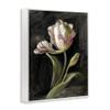Stupell Industries Tulip on Black White Framed Giclee Wall Art Design by Danhui Nai, 24 x 30 view 3