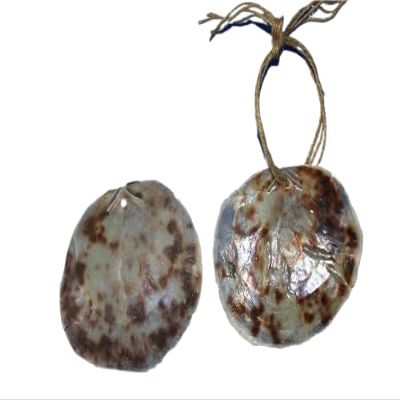 Natural Saddle Oyster Seashells for Crafts, 4-6 Inches, Drilled Holes, Tan and Brown, Beach Art, Craft Supply 20-Pack, SS-61H