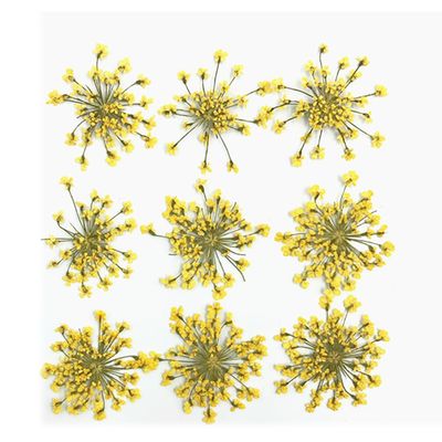 108Pcs Yellow1 Lace Flower, Artificial and Dried Flower,0.8 - 1.0In Natural Pressed Dried Flowers, for Resin Jewelry Making, Scrapbook DIY, Flower Decoration, Home Decoration,Frame Decoration Art