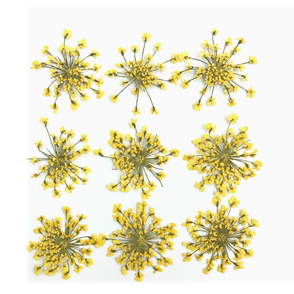 108Pcs Yellow1 Lace Flower, Artificial and Dried Flower,0.8 - 1.0In Natural Pressed Dried Flowers, for Resin Jewelry Making, Scrapbook DIY, Flower Decoration, Home Decoration,Frame Decoration Art