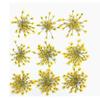 108Pcs Yellow1 Lace Flower, Artificial and Dried Flower,0.8 - 1.0In Natural Pressed Dried Flowers, for Resin Jewelry Making, Scrapbook DIY, Flower Decoration, Home Decoration,Frame Decoration Art view 1