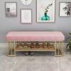 XYERDLYN Upholstered Shoe Storage Bench,2-Tier Entryway Shoe Bench with Velvet Seat and Gold Frame,Shoe Rack Bench for Hallway(Pink,100 x 35 x 45 cm) view 1