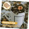 Ciieeo Tea Bag Holder Storage Box Lid Multi-purpose Organizer for Tea Bags Coffee Container for Home and Kitchen Use view 2