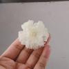 10Pcs Beige Series Styles Artificial Chiffon Fabric Flowers, Cream Pearl Embellished (10Pcs #31) view 3