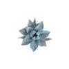 3D Ceramic Flower Wall Art, Handcrafted Floral Sculpture, Artificial Plant Wall Art Sculpture Decoration,3D flower wall decor, Modern Home Decor for Living Room, Bedroom (Light BlueMagnolia 3.7") view 1