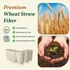Homienly Plastic Cups Alternative 12oz - Wheat Straw Cups Set of 6 Reusable & Unbreakable Drinking Glasses Dishwasher & Microwave Safe Cups for Everyday Use-Beige view 3