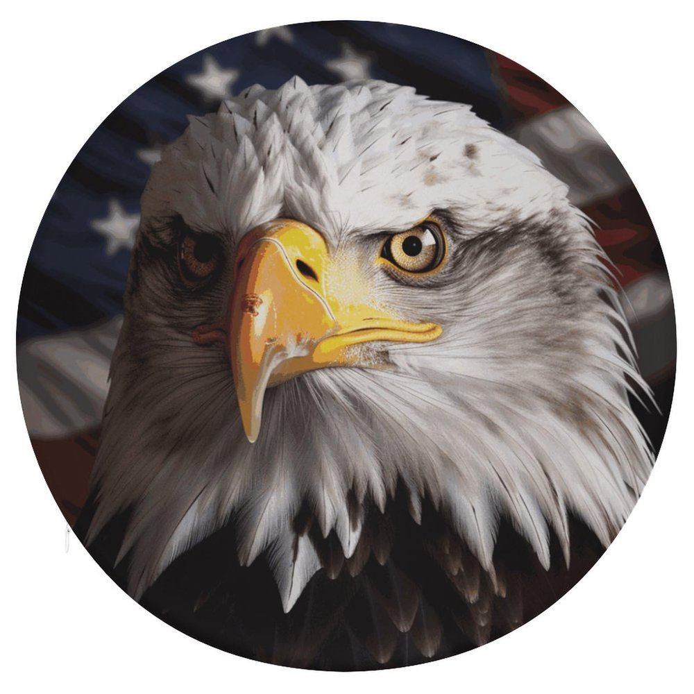 HEBVNJF Seat Cushion Round Pillow Cushion America Flag and Eagle Floor Cushions for Window Seat Bench Chair Reading Nook