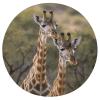 HEBVNJF Seat Cushion Round Pillow Cushion Two Giraffes Floor Cushions for Window Seat Bench Chair Reading Nook view 1