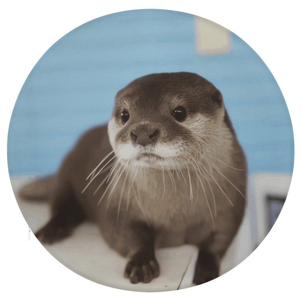 HEBVNJF Seat Cushion Round Pillow Cushion Cute Otter Floor Cushions for Window Seat Bench Chair Reading Nook