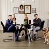 42-inch Round Dining Table and Chair - Strong Stainless Steel Legs, Sintered Stone Top, Black Chairs with Silver Metal Legs for A Stable Arrangement Stylish Trendsetting view 1