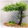 Artificial Green Banyan Trees Large Simulation Plants Artificial Bonsai Tree for Office Bedroom Living Party DIY Wedding Decor 3mx2.5m view 3