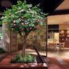 Simulation Apple Tree, Artificial Apple Tree Decorative Tree Simulation Tree Artificial Tree for Home and Office 1.5m view 1