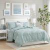 4 Pcs Cotton Reversible Embroidered Quilt Set with Throw Pillow Aqua King,Cal King view 1