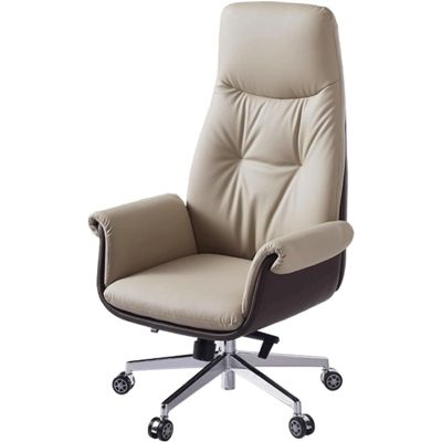 ZOCWJK Rotating and Lifting Office Chair, Double-Layer Thickened Backrest Design Desk Chair, High Back Computer Chair for Home Office(