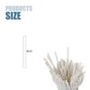 100 Pcs White Lollipop Sticks, 4 Inch Paper Candy Sticks for Homemade Candy Cookies Dessert Cupcake Toppers view 2