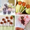 100 Pcs White Lollipop Sticks, 4 Inch Paper Candy Sticks for Homemade Candy Cookies Dessert Cupcake Toppers view 4