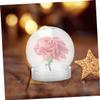 HOODANCOS 10pcs Transparent Bottle Christmas Snow Globe Frost Snow Globes for Snow Globes Craft Xmas Water Globes Keepsake Display Globe Snow Globe Blank Snow Did The Pet view 4