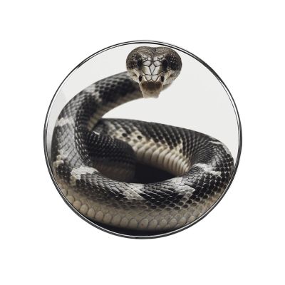 Alloy Strong Magnetic Refrigerator Funny Cobra Snake Printed Refrigerator Magnets Fridge Stickers for Kitchen, Office Whiteboard
