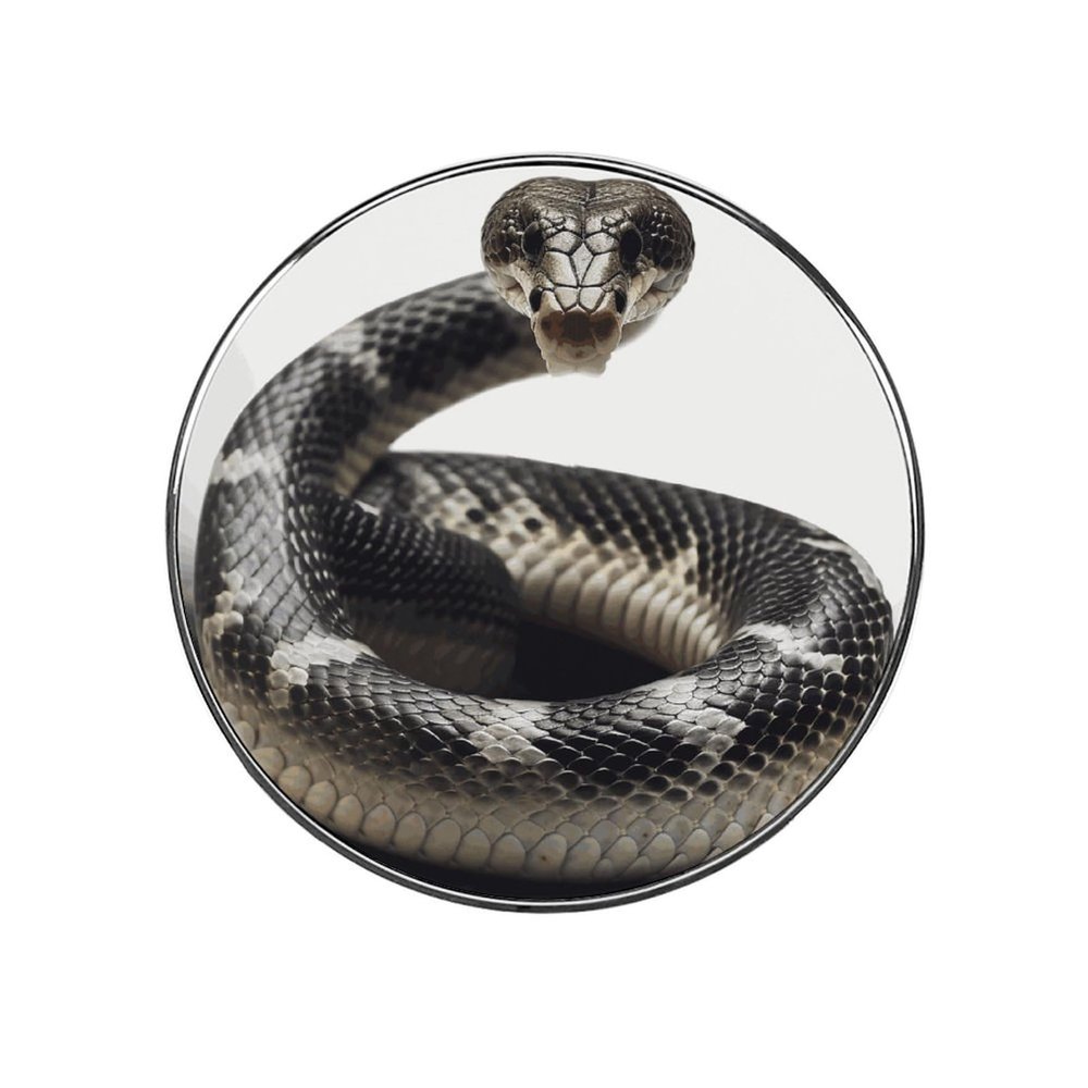 Alloy Strong Magnetic Refrigerator Funny Cobra Snake Printed Refrigerator Magnets Fridge Stickers for Kitchen, Office Whiteboard