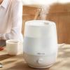 Humidifier Household Mute Bedroom Small Pregnant Women and Babies Purifying Air Aromatherapy Large Mist Sprayer view 3