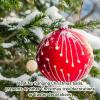 Bognajin 50Pcs Christmas Ornament Hooks, Stainless Steel Decorative Hangers, Lovely Rugged Design, Lightweight and Portable for Christmas Tree Decorating and Party view 2