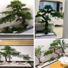 Landscape Tree Artificial Tree Large Simulation Welcome Pine Manual Encryption Green Plant for Office Bedroom Living Party DIY Wedding Decor 1.2x0.8m/3.9x2.6ft view 2