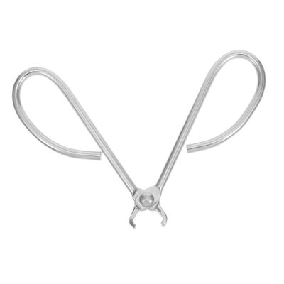 IMIKEYA Stainless Steel Nut Opener Tool for Pine Nuts Walnuts and Hazelnuts Multiuse Design for Easy Shelling and Safe