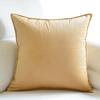 Tingting's Dream Luxury Velvet Sofa Throw Pillows Soft Decorative Sofa Couch Pillows Bed Rest Reading Pillow Chair Waist Back Cushion (Champagne Color, 4040CM/15.7"15.7") view 1