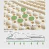 100% Natural Latex Mattress, Organic Latex Mattress Cover Thick Soft Mattress Topper Portable Relieves Pressure, Honeycomb Pore Ventilation,Full,54"75"3" view 3