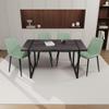 59" Black Wooden Dining Table and Modern Dining Chair 4 Pcs Set, Rectangular Metal Base,JR502 view 1
