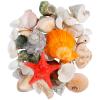 liomey Sea Shells Mixed Beach Seashells 11 Kinds 1.4"-2.8" Various Sizes Natural Shells and Starfish for Christmas Home Decor, DIY Crafts, Fish Tank and Vase Filler, Party Supplies view 1
