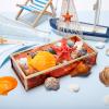 liomey Sea Shells Mixed Beach Seashells 11 Kinds 1.4"-2.8" Various Sizes Natural Shells and Starfish for Christmas Home Decor, DIY Crafts, Fish Tank and Vase Filler, Party Supplies view 2