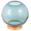 PRETYZOOM Clear Hydroponic Flower Vase with Simple Design Round Glass Planter for Home Decor Elegant Centerpiece for Plants for Office Living Room view 1