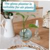 PRETYZOOM Clear Hydroponic Flower Vase with Simple Design Round Glass Planter for Home Decor Elegant Centerpiece for Plants for Office Living Room view 3