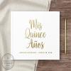 Mis Quince Gift Idea, Quince Party Book, Quinceanera Keepsake, Foil Guestbook with Color Choices - White Gold (9x6) view 2