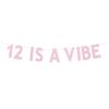 12th Birthday Party Decorations for Girls, Rose Gold Glitter 12 is a Vibe Banner, Cheers to 12 Years Groovy Birthday Party Supplies view 1